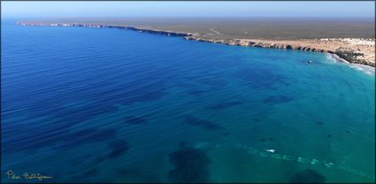 Whales - Head of Bight - SA (PBH3 00 28940)